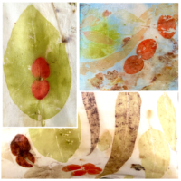 Eco Leaf Printing on Silk Satin Samples